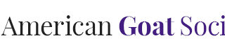 logo-320x75 ADGA Registered Nigerian Dwarf Goats